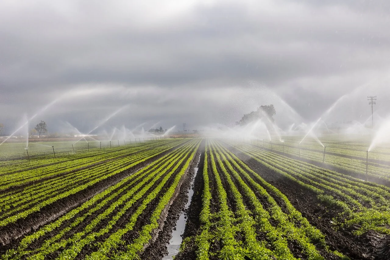 Smart Irrigation System